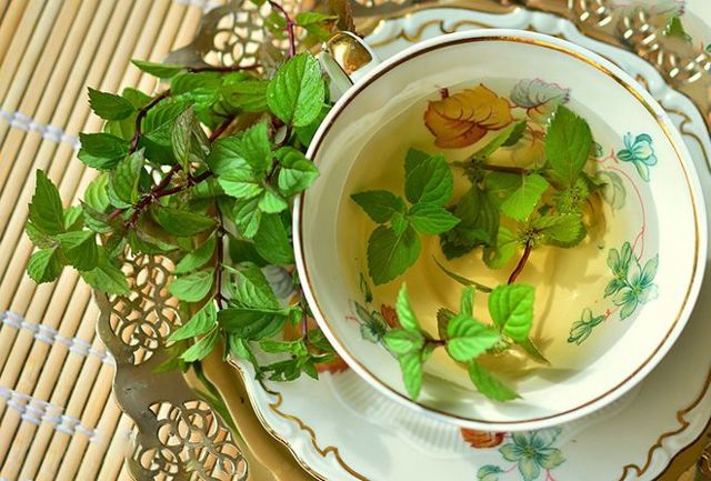 Користь і шкода м'яти, лікувальні властивості, протипоказання, фото, відгуки.