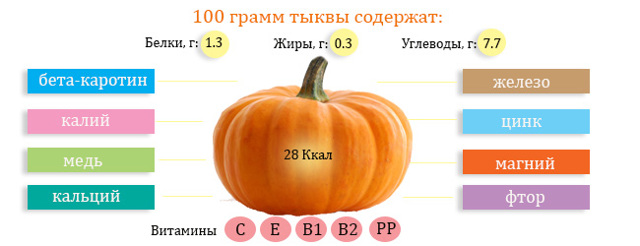 Гарбуз: користь і шкода для організму людини, склад і калорійність