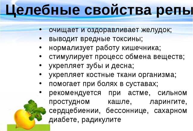 Ріпа: користь і шкода для здоров'я, рецепти приготування з фото