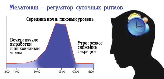 Мелатонін: користь і шкода, інструкція із застосування, відгуки лікарів, аналоги