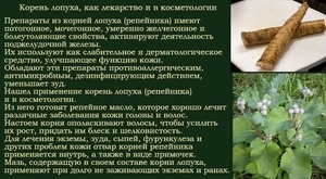 Лопух: корисні і лікувальні властивості, протипоказання, застосування, відгуки