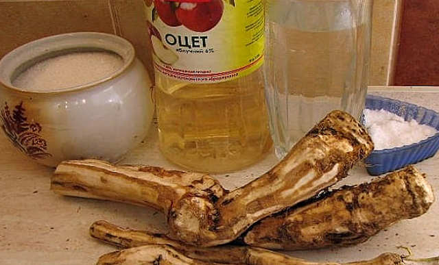 Користь і шкода хрону для здоров'я, лікувальні властивості, рецепти, відгуки