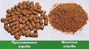 Житні висівки: користь і шкода, як приймати, відгуки