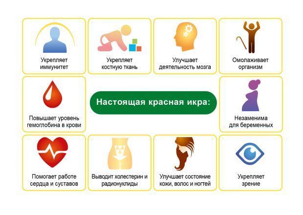 Користь і шкода червоної ікри для здоров'я, як посолити в домашніх умовах