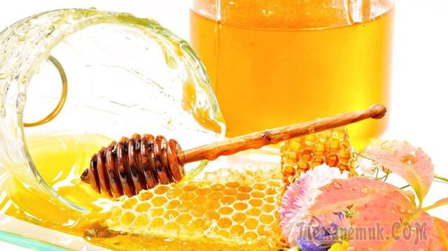 Користь і шкода меду для організму чоловіків і жінок, рецепти здоров'я, відгуки