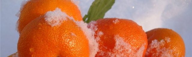 Користь і шкода мандаринів для здоров'я, калорійність