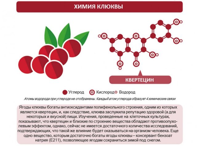 Журавлина: корисні властивості та протипоказання