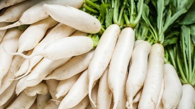 Дайкон: користь і шкода для організму