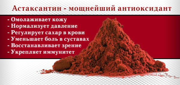 Користь і шкода зеленого (маргеланської) редьки, властивості, рецепти з фото