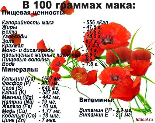 Користь і шкода маку, склад і калорійність