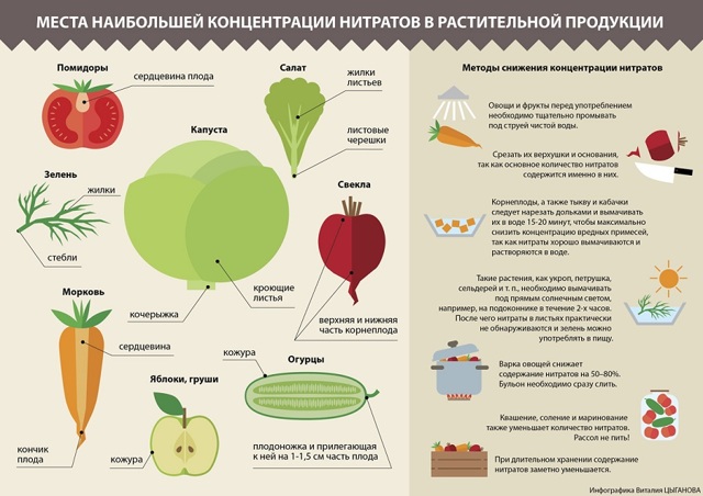 Користь і шкода овочів, які найкорисніші, як зберігати і вживати.