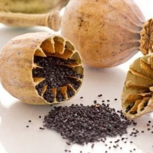 Користь і шкода маку, склад і калорійність