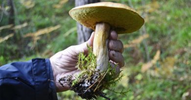 Як вивести масну пляму з одягу: бавовни, шовку, вовни, синтетики