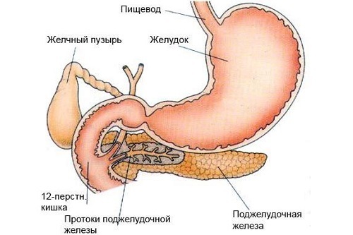 Користь і шкода пива для організму чоловіків і жінок, склад, калорійність