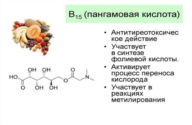 Вітамін В15 (пангамова кислота): для чого потрібен організму, застосування