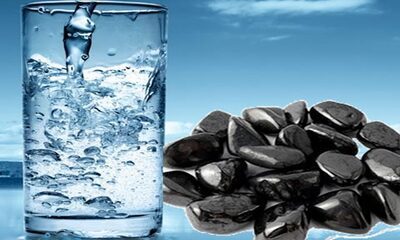 Шунгітова вода: користь і шкода, застосування, відгуки