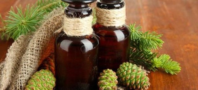 Соснові бруньки: користь і шкода, лікувальні властивості, протипоказання, відгуки