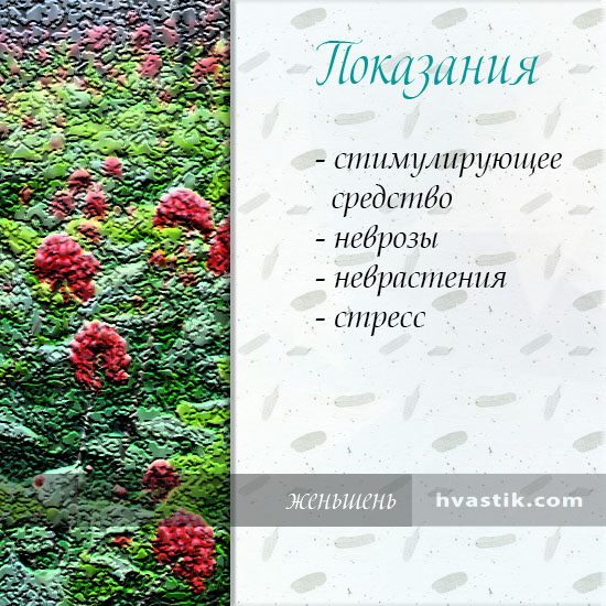 Настоянка женьшеню: користь і шкода, інструкція із застосування, відгуки