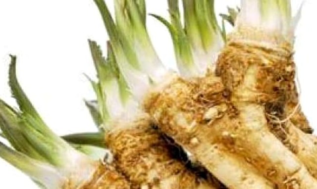 Користь і шкода хрону для здоров'я, лікувальні властивості, рецепти, відгуки