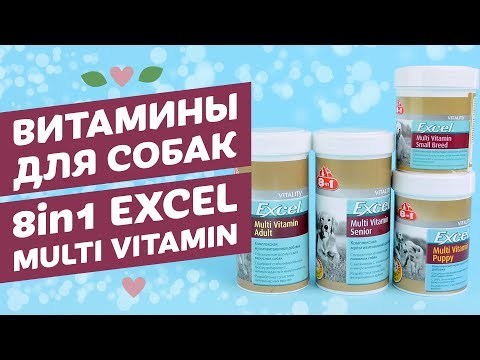 Вітаміни для літніх собак: які вибрати, рейтинг найкращих, відгуки