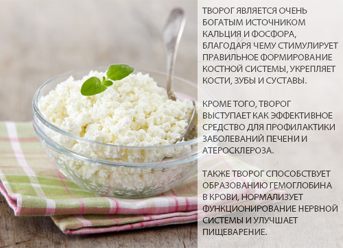 Знежирений сир: користь і шкода, скільки калорій, склад