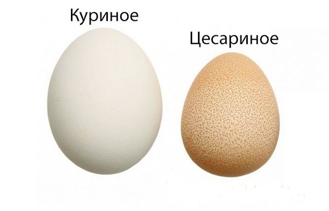 Яйця цесарки: користь і шкода, фото, як виглядають