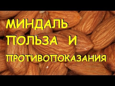 Мигдаль: користь і шкода для організму жінок і чоловіків, калорійність