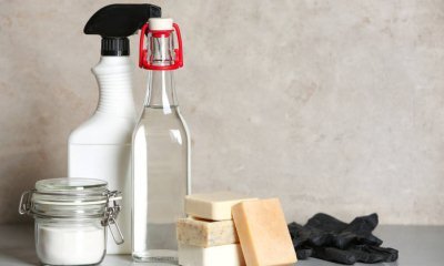 Як відмити масло з дивана: чим видалити плями з оббивки м'яких меблів, народні способи