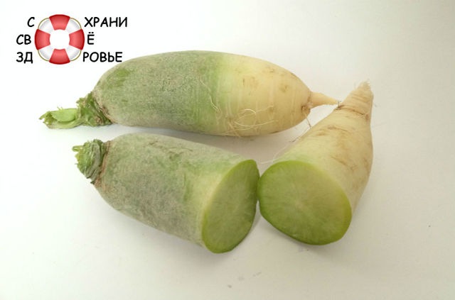 Користь і шкода зеленого (маргеланської) редьки, властивості, рецепти з фото