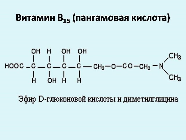Вітамін В15 (пангамова кислота): для чого потрібен організму, застосування