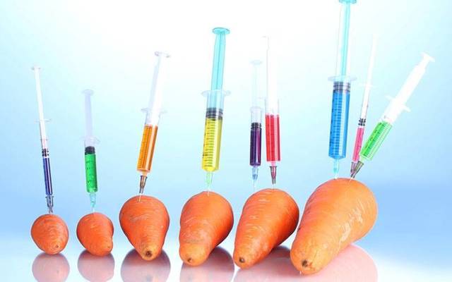 ГМО: користь чи шкода, розшифровка, список продуктів в Україні