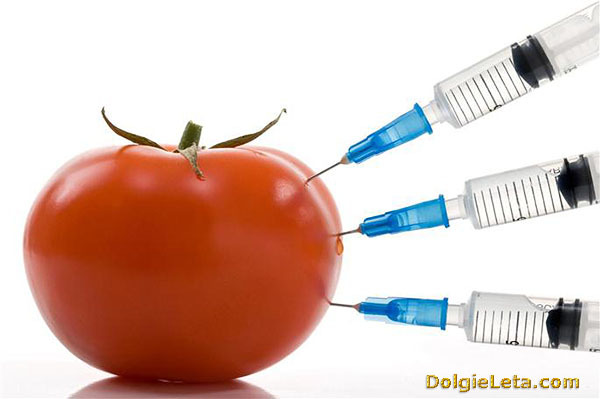 ГМО: користь чи шкода, розшифровка, список продуктів в Україні
