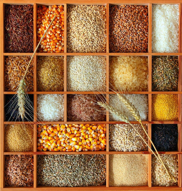 Фітинова кислота: користь і шкода, в яких продуктах міститься