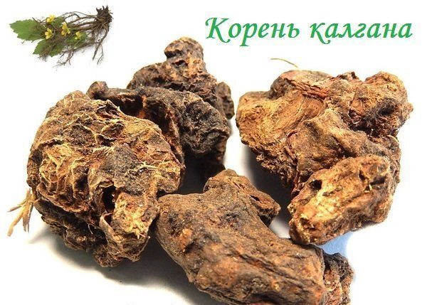 Користь і шкода самогону, склад, властивості, рецепти настоянок, відео