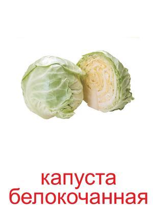 Тушкована капуста: користь і шкода, калорійність, рецепти з фото, відгуки