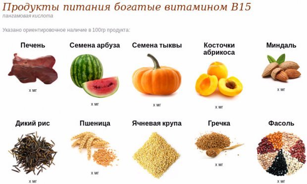 Вітамін В15 (пангамова кислота): для чого потрібен організму, застосування