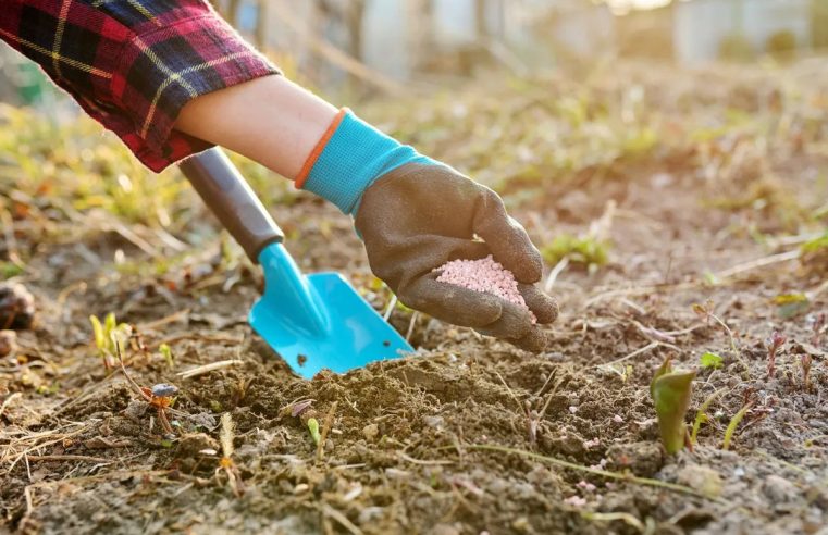 Добрива на весну