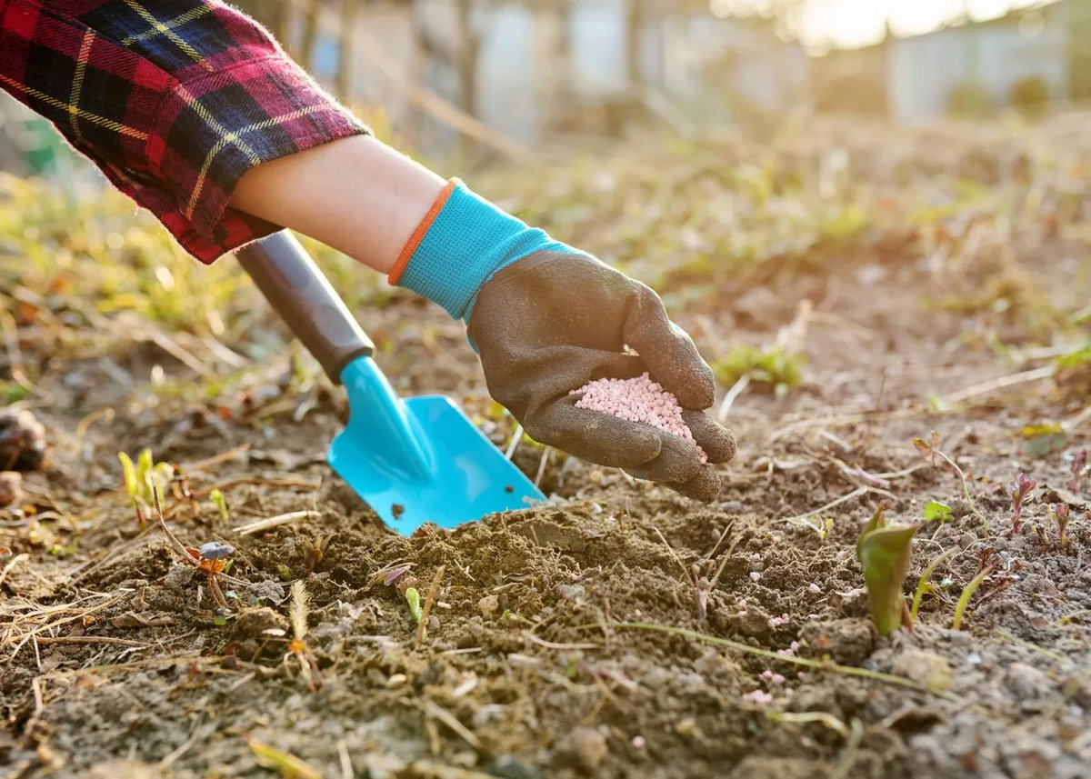 Добрива на весну