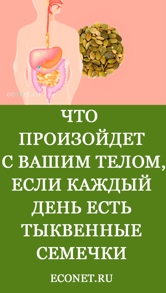 Гарбузове насіння: користь і шкода для чоловіків і жінок, скільки з'їдати