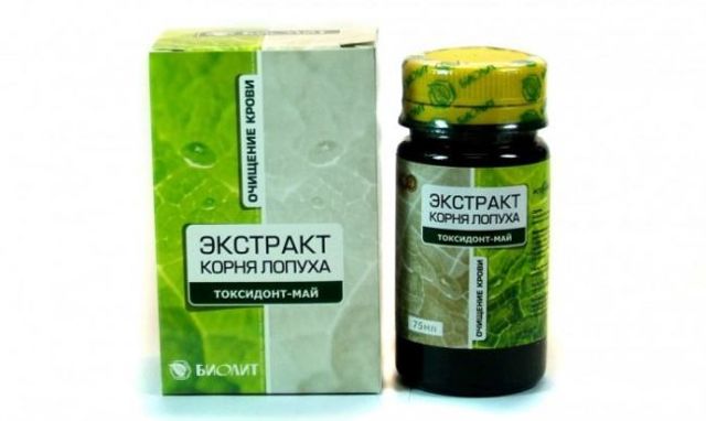 Лопух: корисні і лікувальні властивості, протипоказання, застосування, відгуки