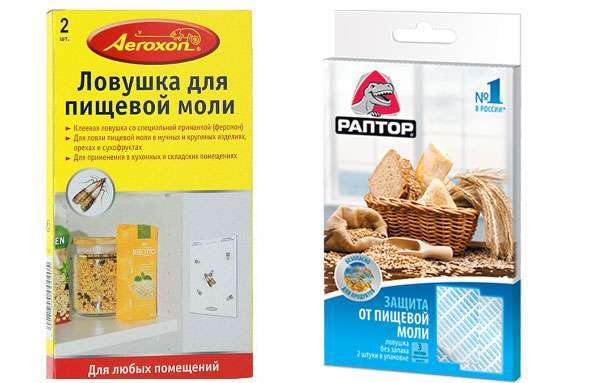 Як вивести харчову міль і її личинки з квартири: народні засоби