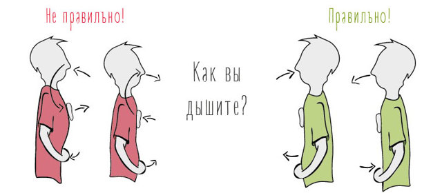 Діафрагмальне дихання: користь і шкода, техніка, вправи, відео