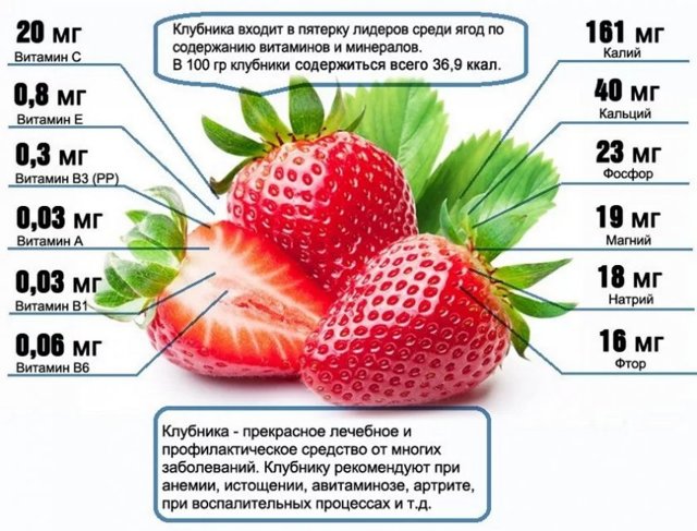 Користь і шкода полуниці для здоров'я, калорійність