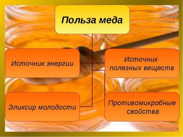 Вода з медом натщесерце: користь і шкода, як пити, відгуки