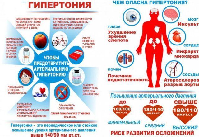 Укус бджоли: користь і шкода, перша допомога, лікування бджолиною отрутою