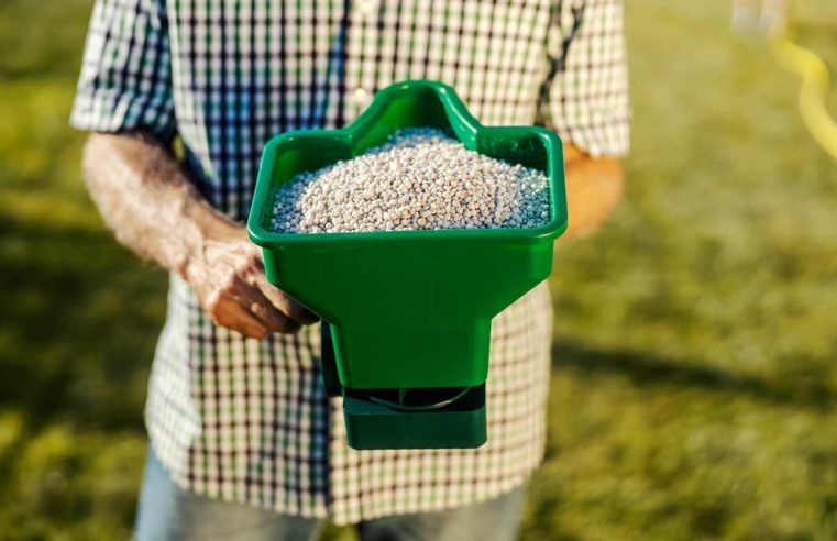 Посилення стійкості газону