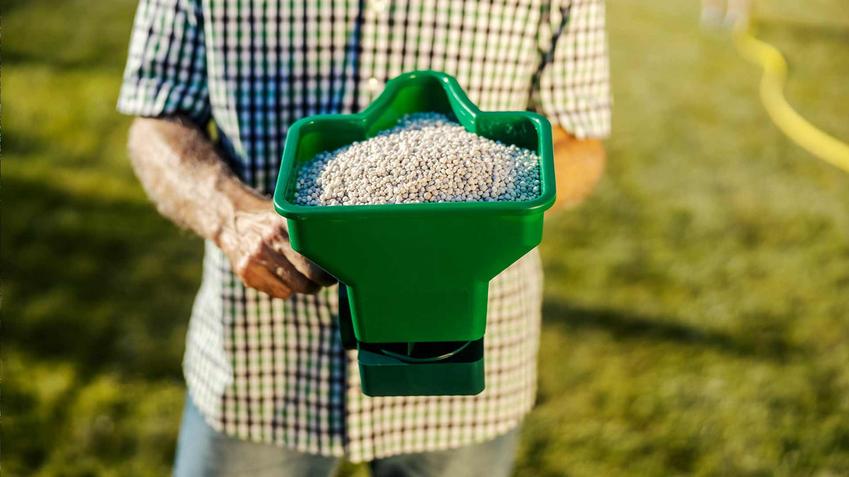 Посилення стійкості газону