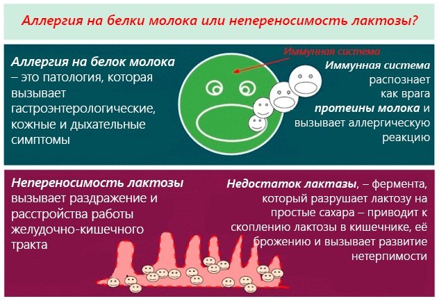 Селенцін для волосся: шампунь, таблетки, спрей, маска, лосьйон, вітаміни. Склад, інструкція із застосування