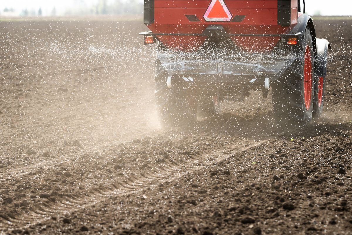 Види добрив на весну