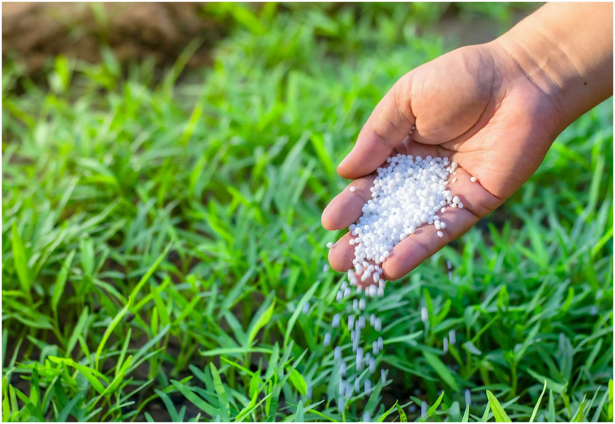 Використання літніх добрив